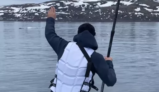 Ночной заплыв на сап-досках с китами в Мурманской области попал на видео