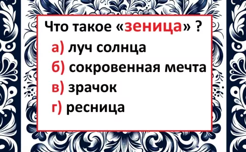 Что такое «зеница» — ошибаются 90% россиян, хотя слово знакомо с детства: тест на знание русского