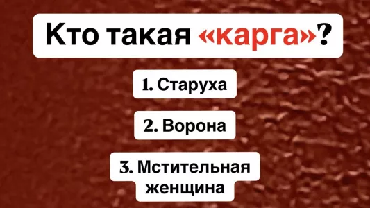 Кто такая «карга» — этот тест на знание русского языка заваливают 99% людей — а вы сможете не ошибиться?