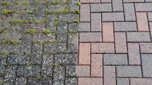 Траву на дорожках не рву и ничем не поливаю: секунда — и сорняков нет — жаль, раньше не догадался так делать