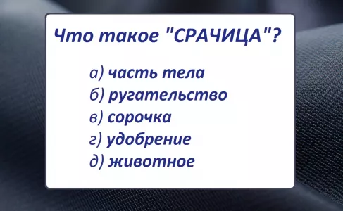 Что такое «срачица»: не слово, а ловушка даже для знатоков русского — а вы блеснёте грамотностью?