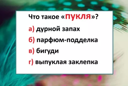 Экзамен на знание русского языка: что такое «пукля» — кто угадает, тому «5» в зачетку