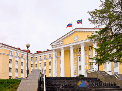 «Подняться на прежний уровень так и не удалось»: депутат Мурманской областной думы оценил работу детского омбудсмена за последние пять лет