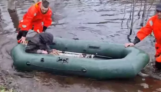В Мурманске найден живым пропавший подросток