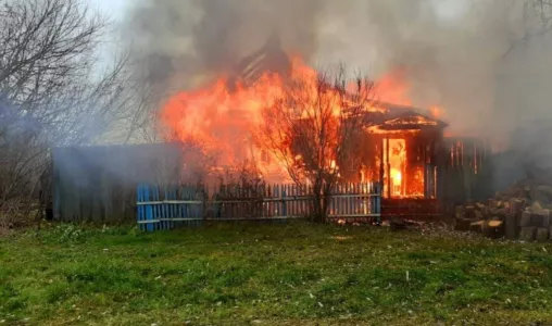 Общественница Кашеварова обвинила некоторых жителей Курской области в предательстве: «Пресмыкались перед ВСУ»