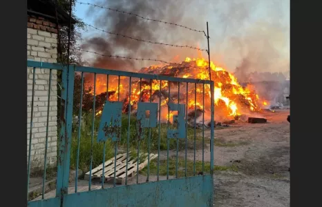 Число пострадавших в ночной атаке беспилотников на Курскую область возросло до 14 человек