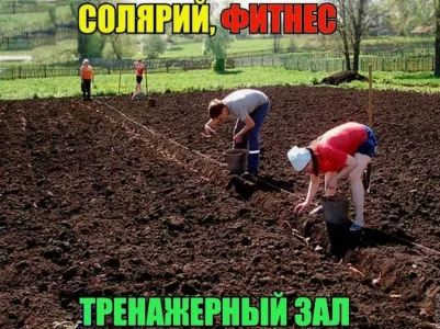 «Ну надо же было так облажаться!» — топ-7 дачных промахов от души