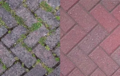 Ничем не поливала и траву не рвала — а заросшие садовые дорожки как новые: грязи и сорняков нет за 15 минут