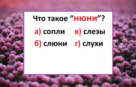 Ошибаются все подряд — что такое «нюни»? Тест на знание русского пройдут лишь единицы