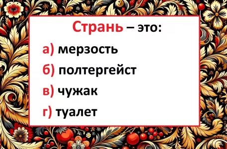 Экзамен по русскому: что такое «странь» — кто не угадает, пойдет летом на пересдачу