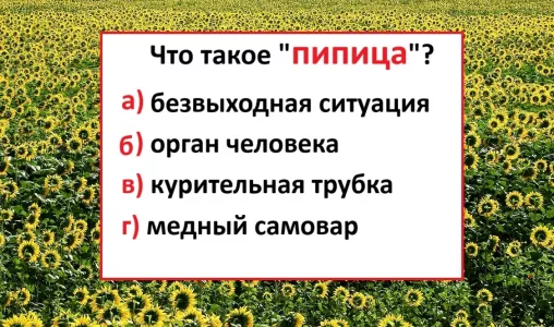 Что такое «пипица» — смело отвечают только тонкие знатоки языка: тест на знание русского