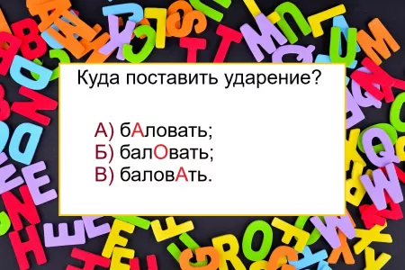 Если правильно поставите ударение в слове «баловать» — сможете затмить даже всезнаек: тест по русскому языку