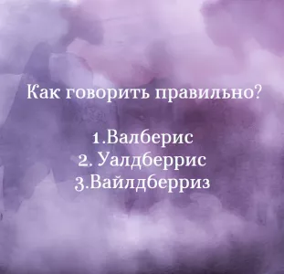 Ошибается каждый второй: как правильно звучит название маркетплейса, куда вы ходите каждую неделю?
