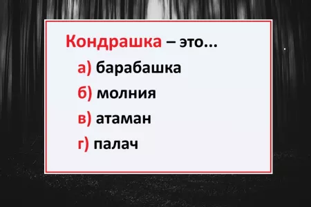 Экзамен по русскому — что такое «кондрашка»: нужно угадать, чтобы сдать на «5» и уйти на каникулы
