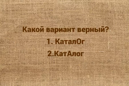 Поставьте ударение и проверьте себя: как правильно звучит слово «каталог»