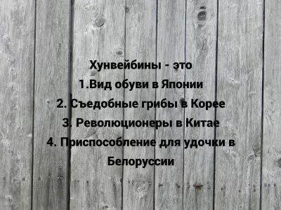 Что такое «хунвейбины»? Знаете ответ — вашему кругозору можно позавидовать