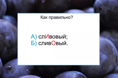 Слово «сливовый» — куда вы поставите ударение? Вашим учителям русского языка будет стыдно, если не справитесь
