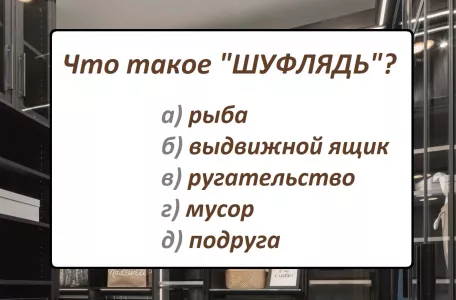 Что такое «шуфлядь»: не слово, а подстава даже для самых грамотных — а вы защитите русский язык?