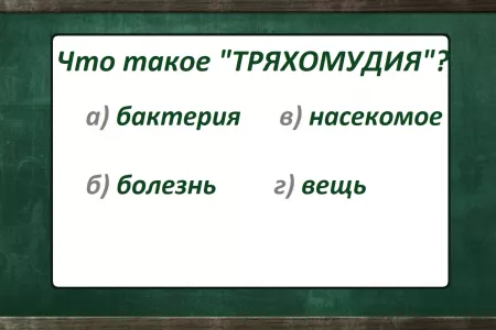 Что такое «тряхомудия»: 89% людей смущает простейшее слово — как блеснуть знанием русского и не оконфузиться?