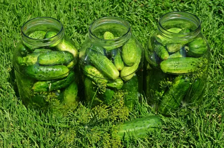 Маринованные огурцы не хрустят и выходят водянистыми? В чем ошибка и как ее исправить