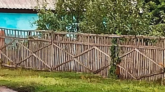 Деревянный забор теперь защищен на века от гнили и плесени — как сделать состав для обработки — обошелся в сущие копейки