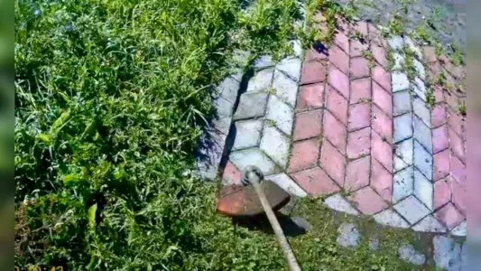 Прицепил к триммеру — трава на дорожках обратились в пыль, а на плитке ни царапинки: уже 5 лет так делаю
