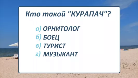 Кто такие «курапачи»: на уроке русского о таком не расскажут — а насколько широк ваш лексикон?