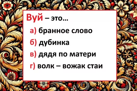Красуется в словарях: что такое «вуй» — значение слова угадают только люди с языковым чутьём