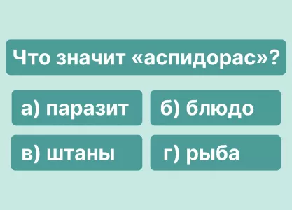 Что значит «аспидорас» — не смейтесь, 90% людей отвечают неправильно, а вы сможете выбрать нужный вариант?