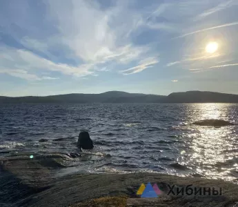В Ловозерском районе Мурманской области нашли паразитов в рыбе