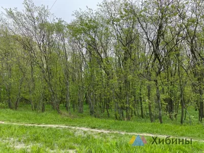 Мурманская область вошла в тройку самых экологически чистых регионов России