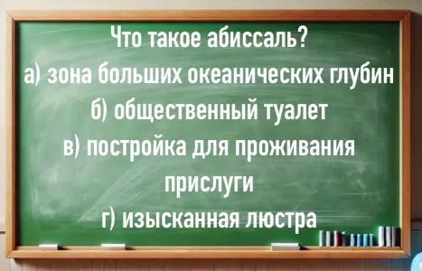Что такое «абиссаль»: угадают только отличники учебы — верный ответ дают лишь 5% населения