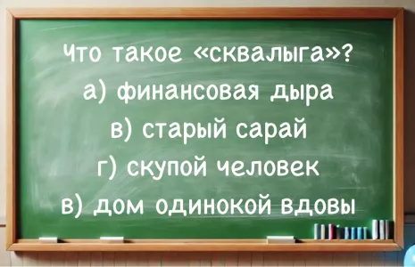 Что такое «сквалыга» — если IQ > 160, ответите быстро: остальным еще учиться и учиться