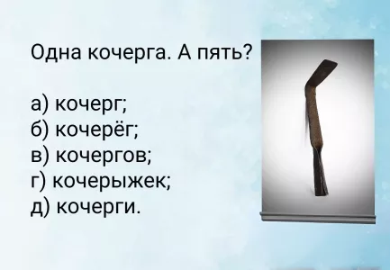 Одна кочерга, а пять? На этом тесте ошибаются 85% взрослых — настоящая ловушка по русскому