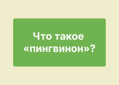 Что такое «пингвинон»: тест на кругозор для ярых эрудитов — знаете ответ?