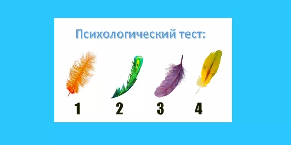 Какое перо красивее? Выбор укажет, в чем ваша сила — точность теста до 98%