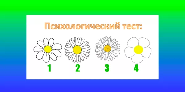 Какая ромашка красивее? Ответ покажет, что мешает вашему счастью — точность теста до 97%