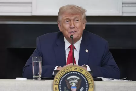 Дональд Трамп посоветовал Грете Тунберг обратиться к психотерапевту после инцидента на пути к Газе: «Я видел, что произошло. В это сложно поверить»