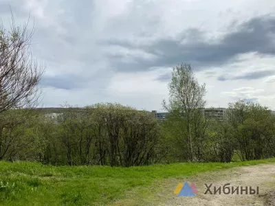 Прогноз погоды в Мурманской области на среду, 11 июня