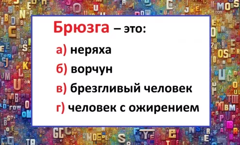 Кто такой «брюзга» — сдаем тест на знание русского: ваш словарный запас выдержит проверку?