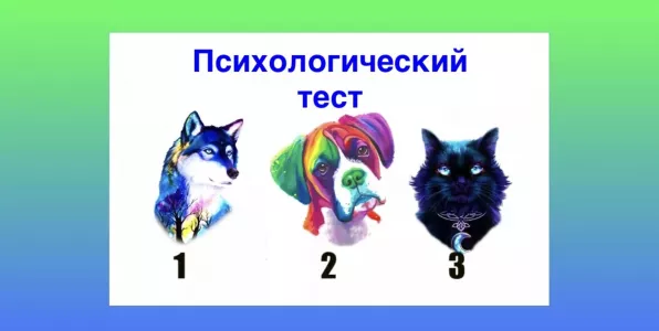 Волк, собака или кот? Выбранное животное «проявит» ваши скрытые силы — точность теста до 97%