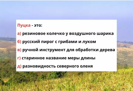 Словарь не трогаем: что такое «пуцка» — пройдите тест на знание русского