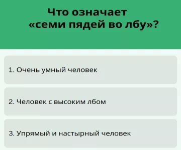 Тест по русскому: «семи пядей во лбу» — вы поймёте с полуслова или промахнётесь?