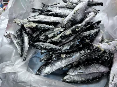 В Умбе Мурманской области купили более 150 кг селёдки
