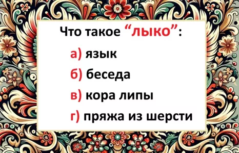 Что такое «лыко» — экзамен по русскому сам себя не сдаст: отвечаем верно — и можно на каникулы