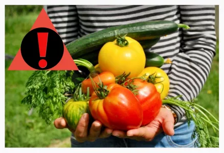 Лунный календарь на 16 июня 2025 года: что нельзя делать, чтобы не «угробить» урожай — Луна «не простит»