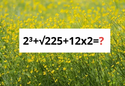 Вы — гений математики, если решите пример «2³+√225+12×2» быстро: за 10 секунд справитесь?