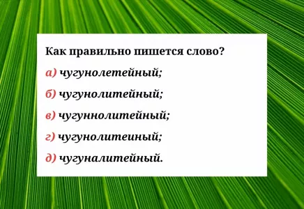 Не ошибётесь — получите «пять» по русскому: выберите единственно верное написание слова