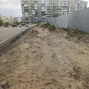 На месте вырубленных из-за строительства ФОКа деревьев в Мурманске высадят кустарники