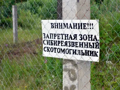 На сибиреязвенных скотомогильниках Мурманской области выявили нарушения